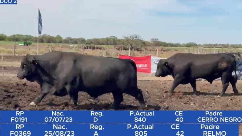 LOTE 16 RP F0191 - SAN CAYETANO