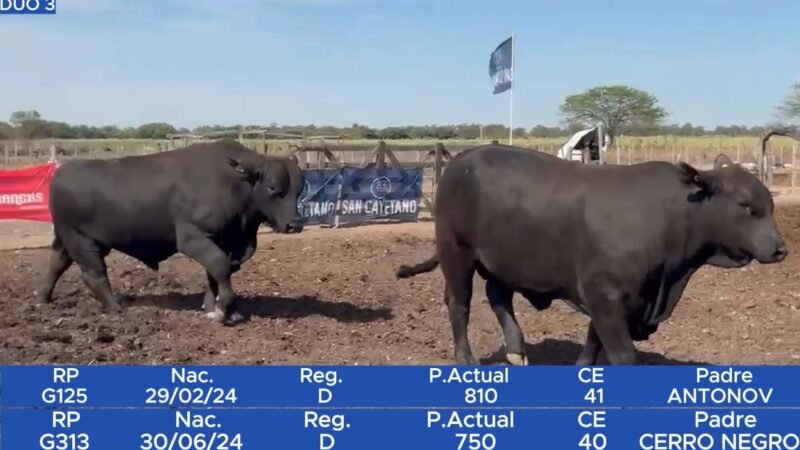 LOTE 19 RP G125 - SAN CAYETANO