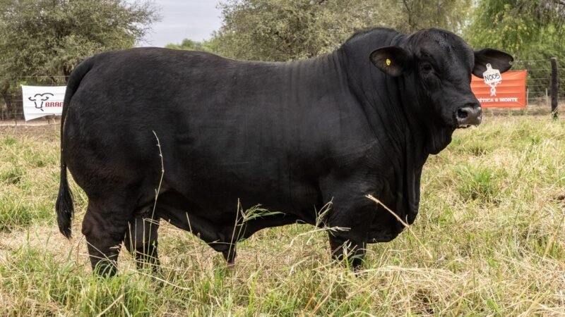 LOTE 2 RP N005 - EL DESCANSO