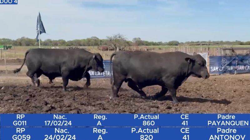 LOTE 23 RP G011 - SAN CAYETANO