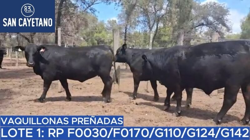 LOTE 33 - SAN CAYETANO