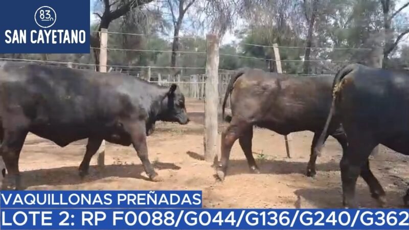 LOTE 36 - SAN CAYETANO