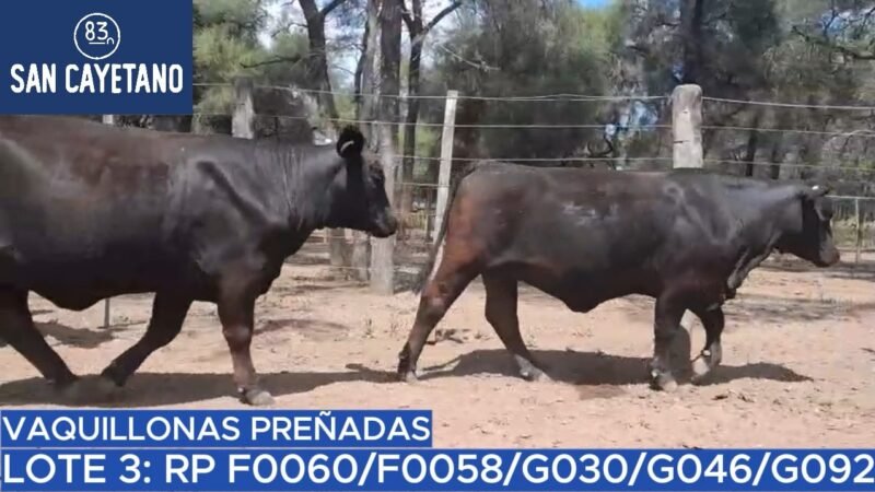 LOTE 39 - SAN CAYETANO