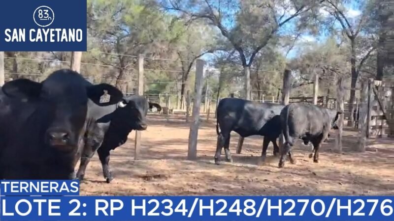 LOTE 56 - SAN CAYETANO