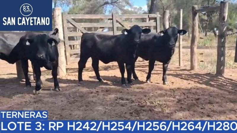 LOTE 57 - SAN CAYETANO