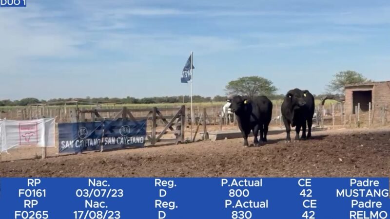 LOTE 8 RP F0161 - SAN CAYETANO